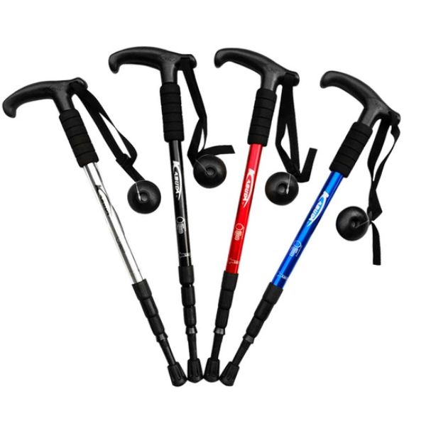 BASTON DE TREKKING - TELESCOPICO